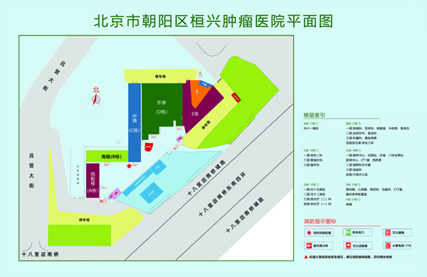 大鸡巴插b视频网站北京市朝阳区桓兴肿瘤医院平面图